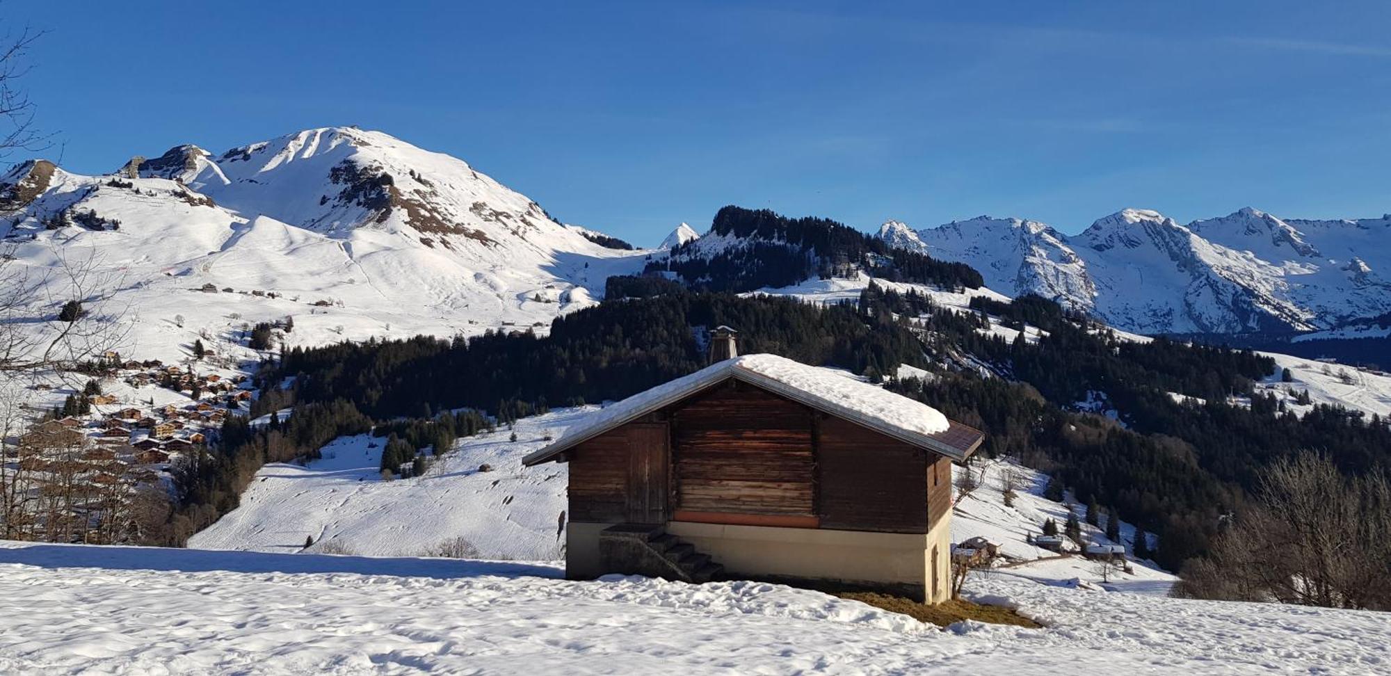 לה גראן-בורנו Appartement Cosy Face Aux Aravis מראה חיצוני תמונה